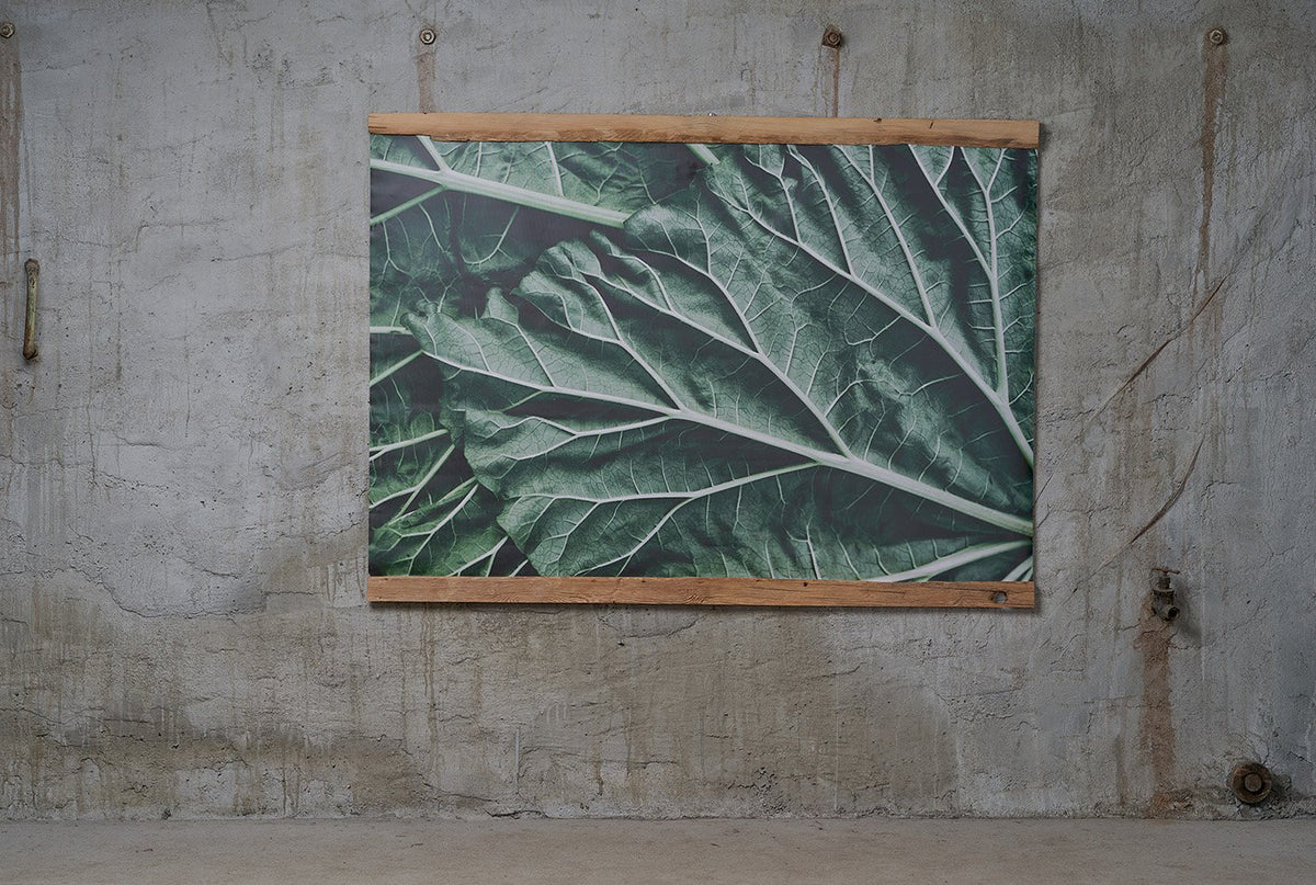 Framed Canvas HONEY FURNITURE