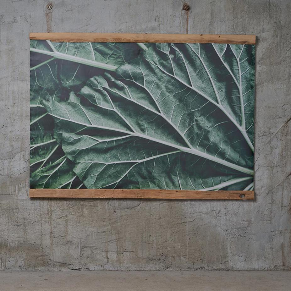 Canvas art Rhubarb leaves in wooden frame, photo by Anna Maskava - HONEY FURNITURE