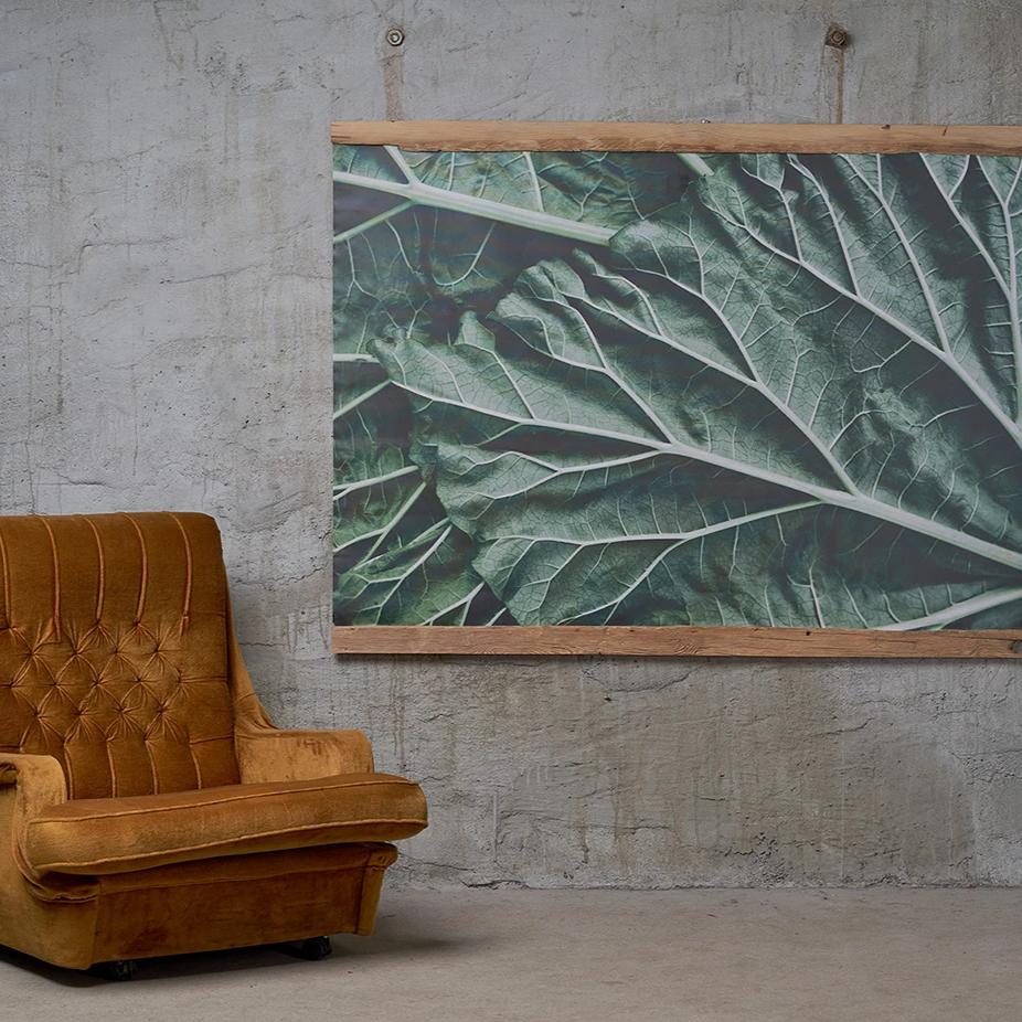 Canvas art Rhubarb leaves in wooden frame, photo by Anna Maskava - HONEY FURNITURE
