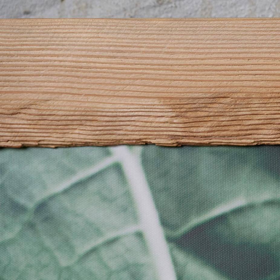 Canvas art Rhubarb leaves in wooden frame, photo by Anna Maskava - HONEY FURNITURE